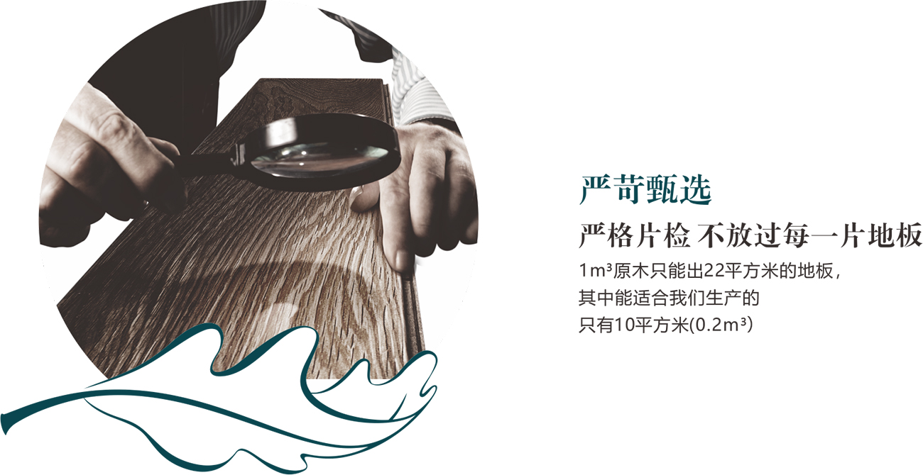 终端形象